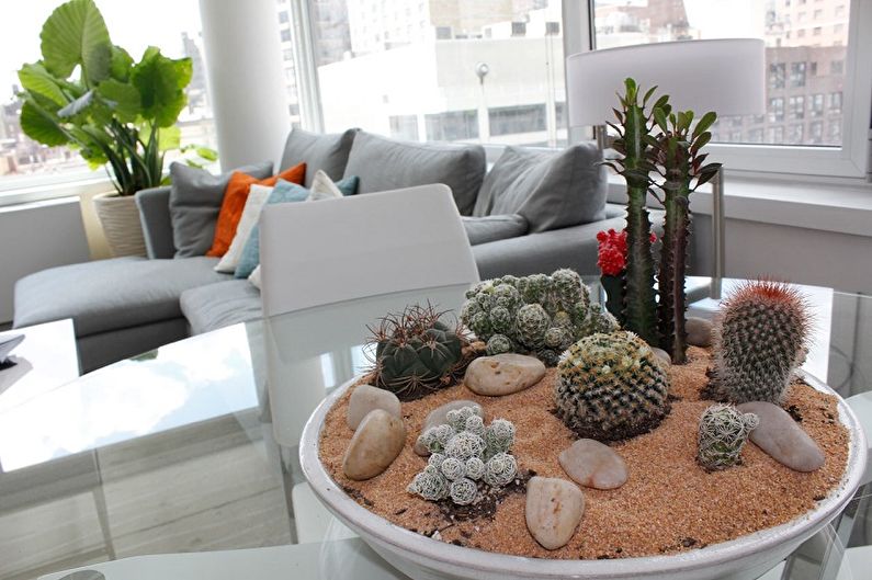 Homemade Cacti - Photo