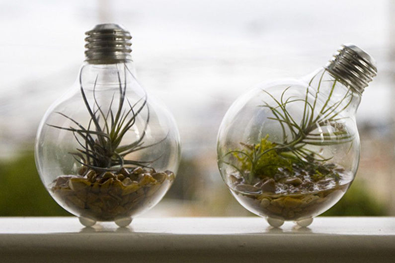 DIY-huoneen sisustus - pullopuutarha tai florarium