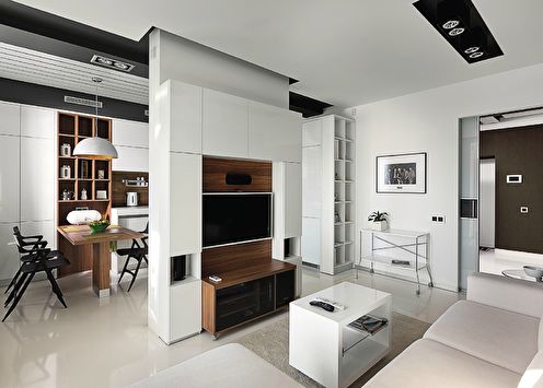 Wall in the living room in a modern style (50+ photos)