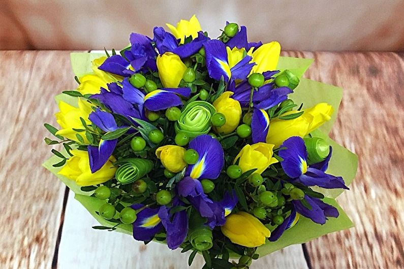 Irises - photo