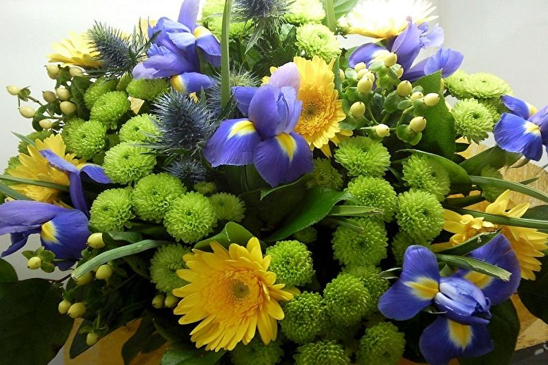 Irises - photo