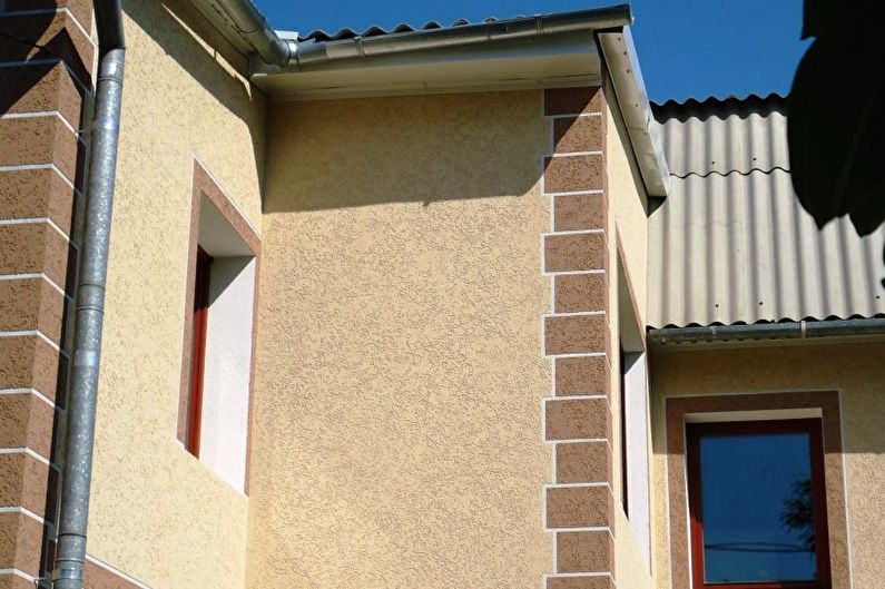 Stucco bark beetle - Features