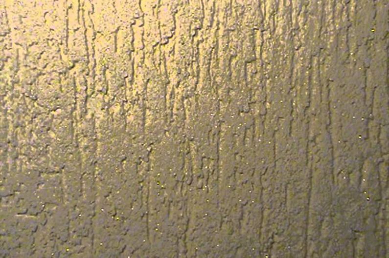 Stucco bark beetle - photo