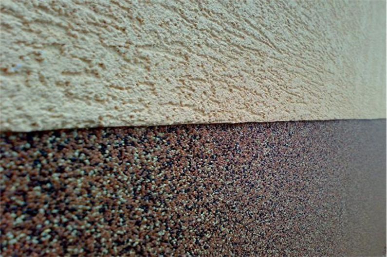 Stucco bark beetle - photo