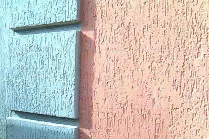 Stucco bark beetle - photo