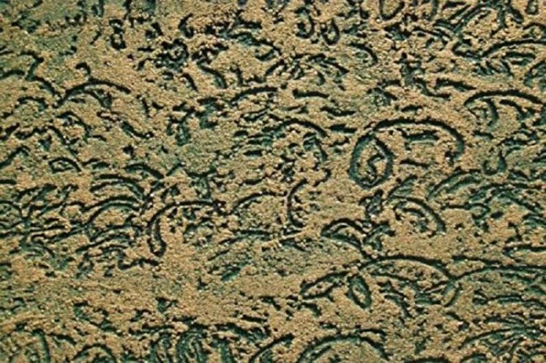 Stucco bark beetle - photo