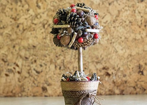 DIY topiary: 100 photo ideas