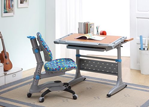 Desk for the student (80 photos)