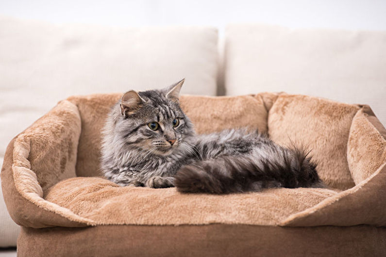Cat House - Loungers and Hammocks