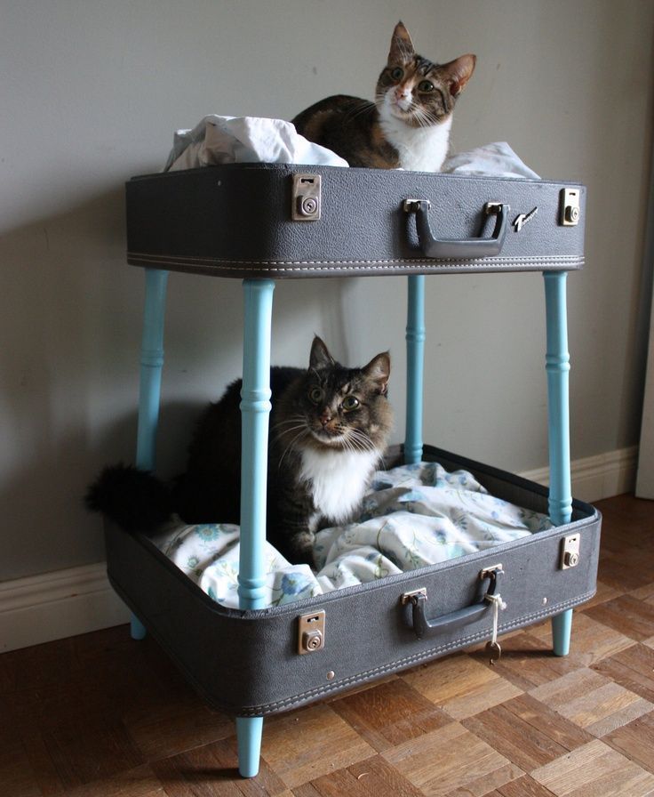 DIY cat house - photo