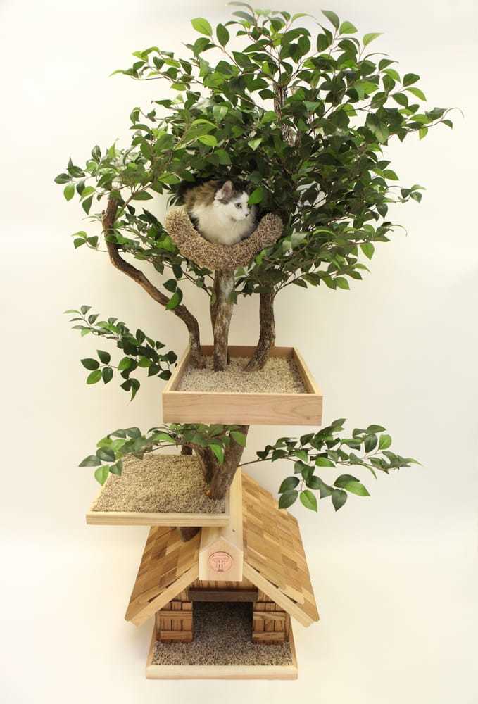 DIY cat house - photo