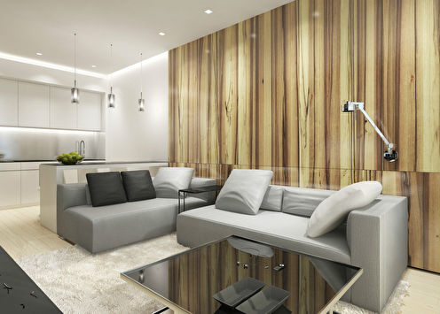 Minimalism style apartment, Champion Park residential complex