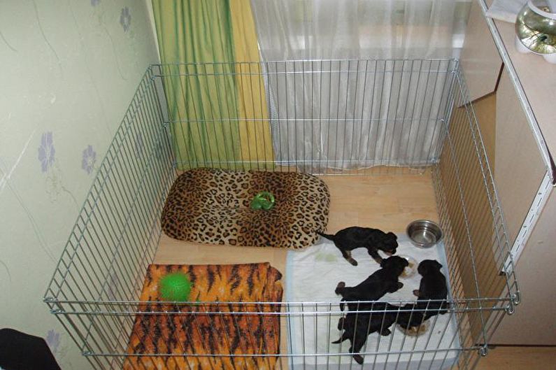 Aviary for puppies