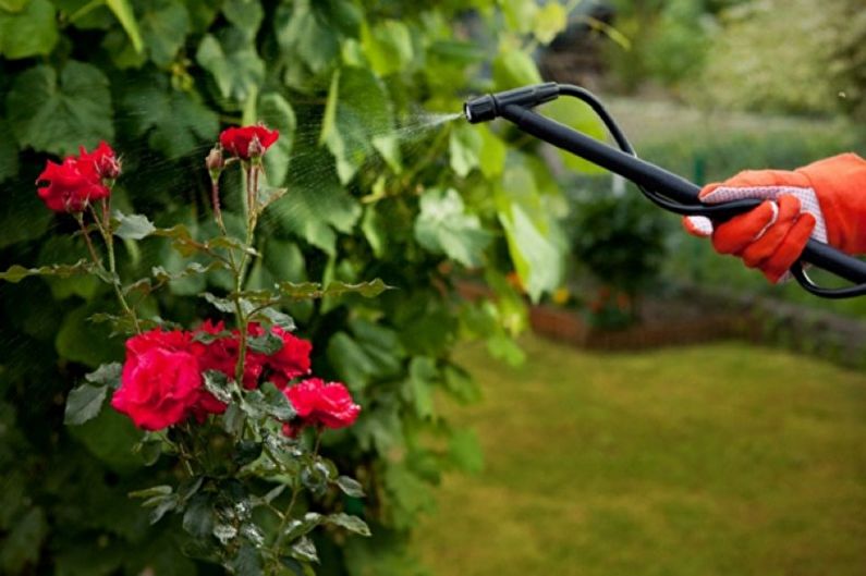 English Rose Care - Moisture