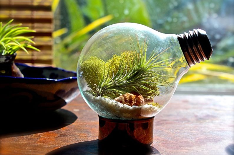 DIY Florarium - In a light bulb