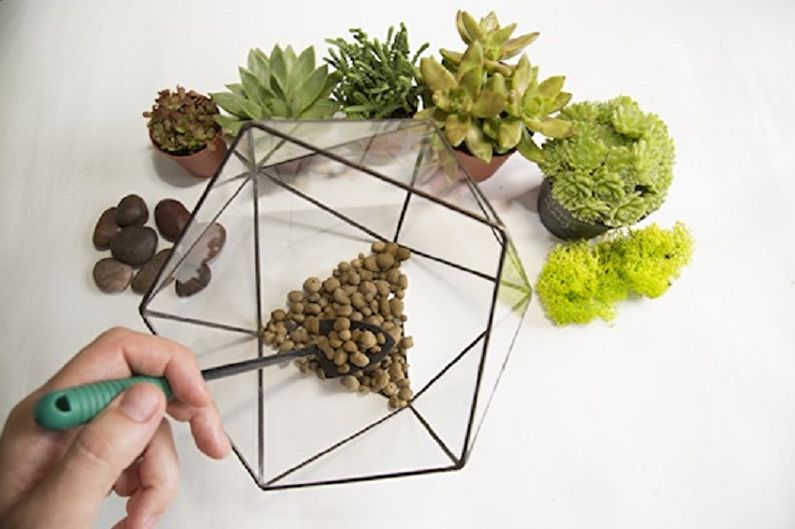 How to make a do-it-yourself florarium