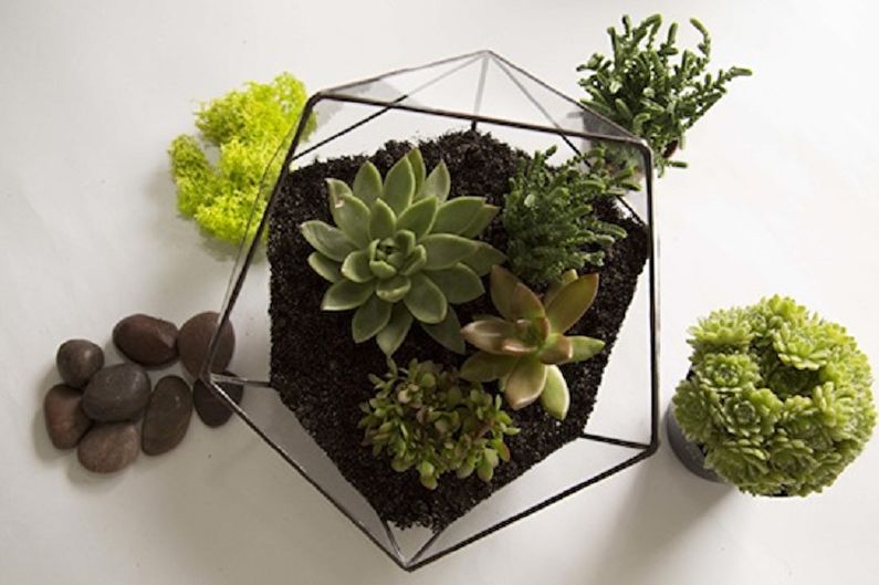 How to make a do-it-yourself florarium