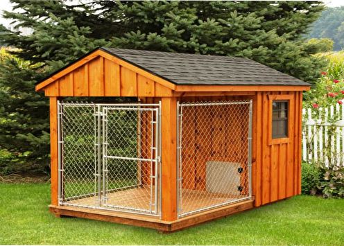 DIY aviary for a dog: 95 photo ideas
