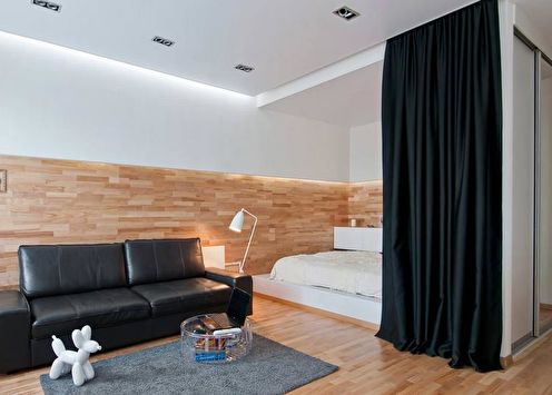 Zoning the room (90 photos): ways and ideas