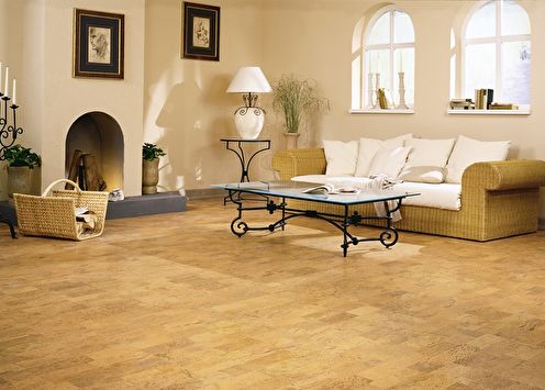 Cork flooring (65 photos): types and features