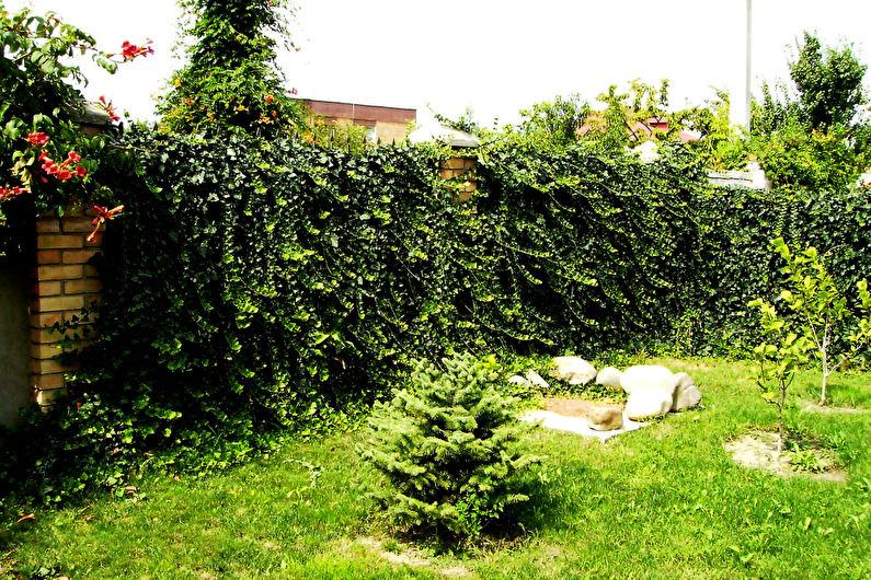 Decoratiuni de gradina DIY - Garduri si garduri