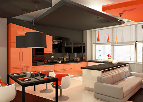 Project kitchen-living room 