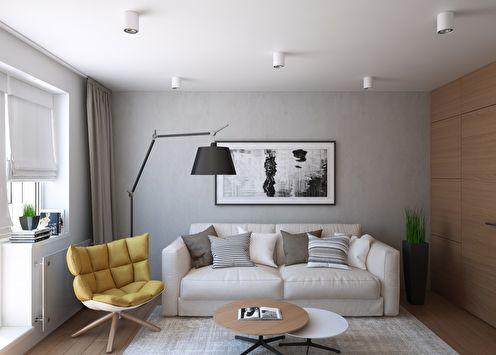 Apartment 48 m2, Moscow Region