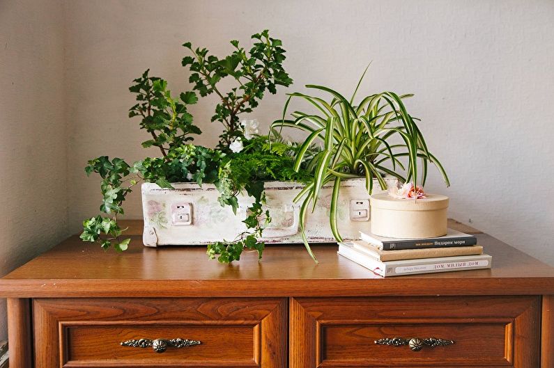 DIY flower pot from a suitcase