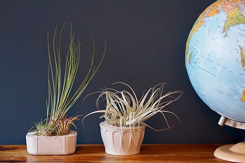 DIY flower pots made of concrete