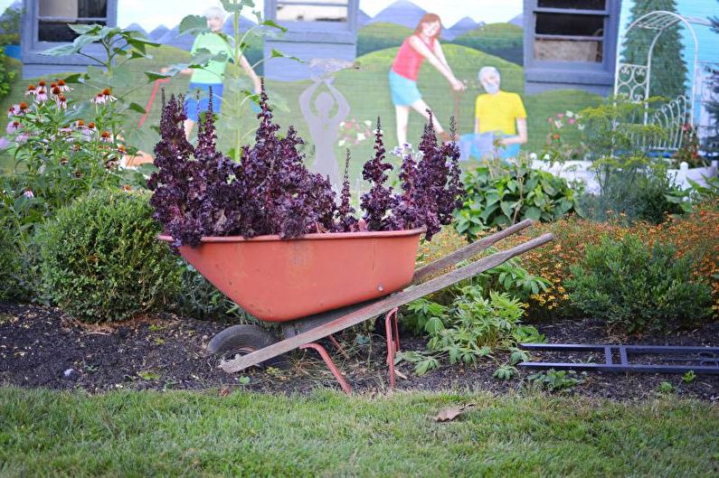 Ideas for flower pots in the garden