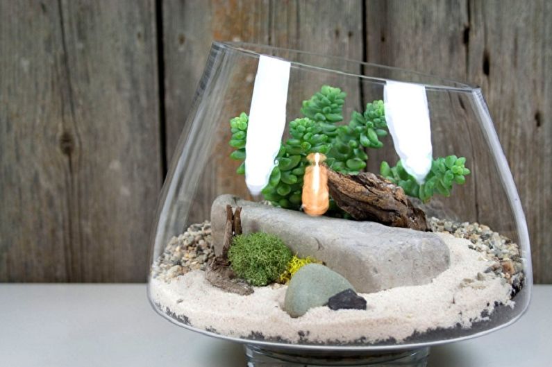Succulents - photo