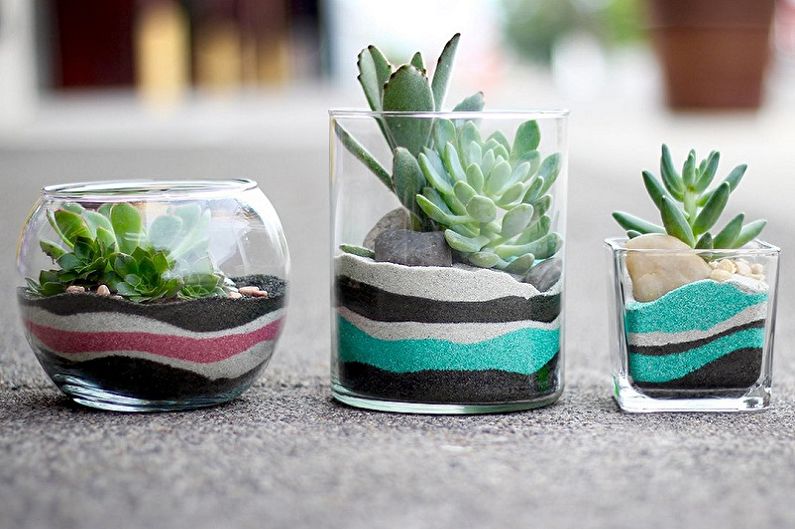 Succulents - photo