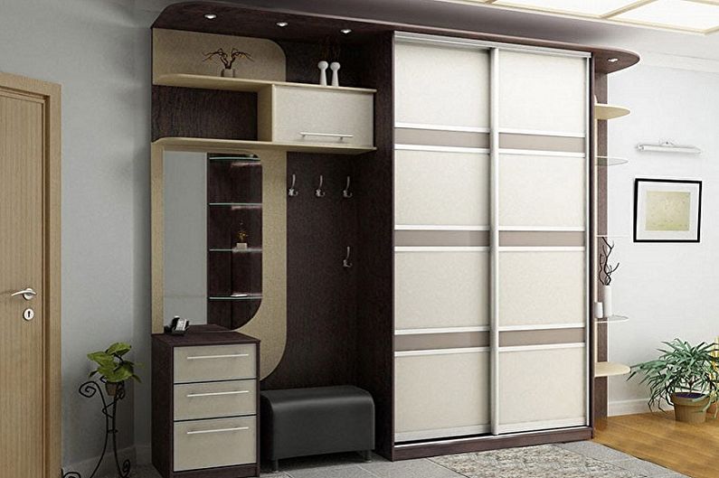 Wardrobe in the hallway interior