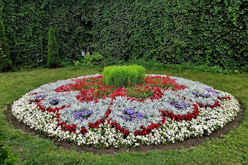 DIY flowerbed - Rules for choosing colors