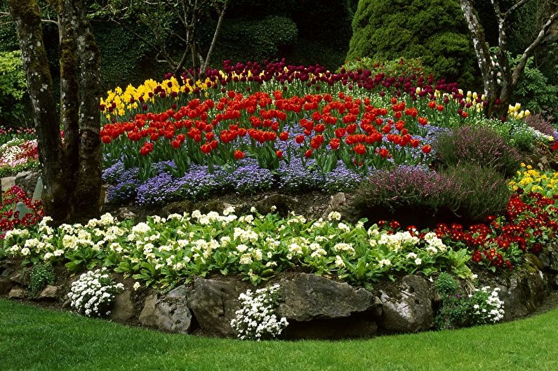 DIY flowerbed - Rules for choosing colors
