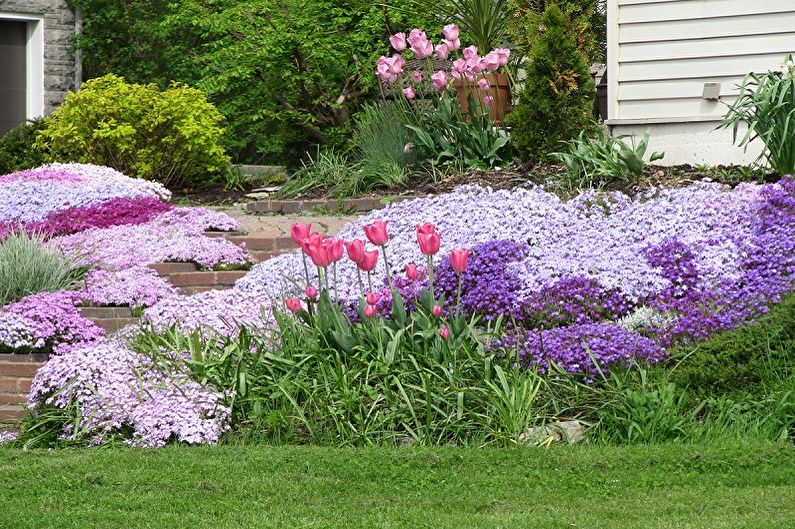 Perennial flowers for the garden and the summer - The benefits of planting