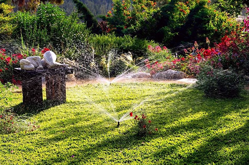 Perennial flowers for the garden and the garden - Care