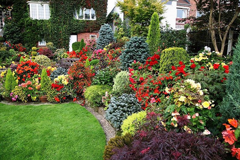 How to make a flower bed of perennial flowers for giving and garden