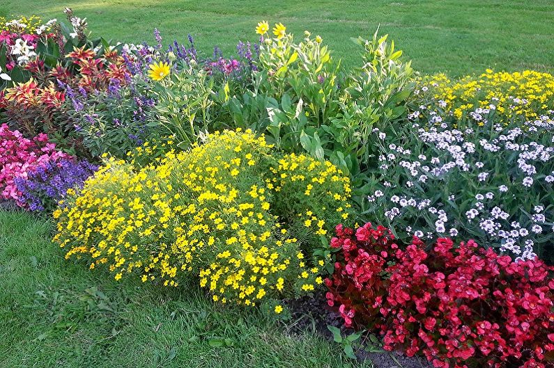 How to make a flower bed of perennial flowers for giving and garden