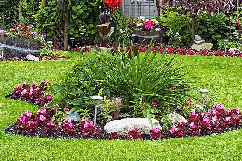 Perennial flowers for the garden and garden - photo