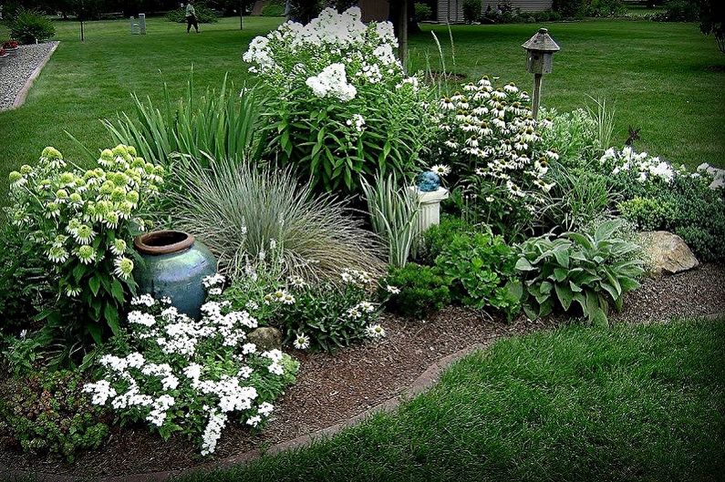 Perennial flowers for the garden and garden - photo