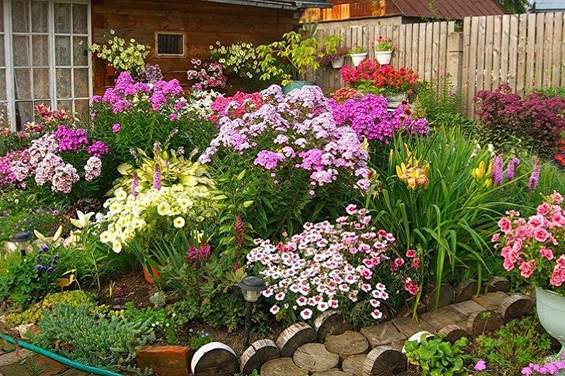 Perennial flowers for the garden and garden - photo