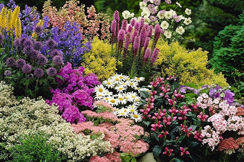 Perennial flowers for the garden and garden - photo