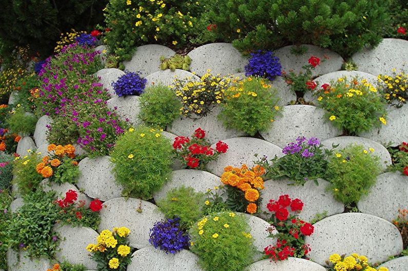Perennial flowers for the garden and garden - photo
