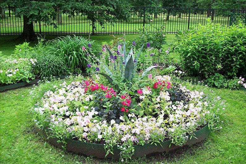 Perennial flowers for the garden and garden - photo