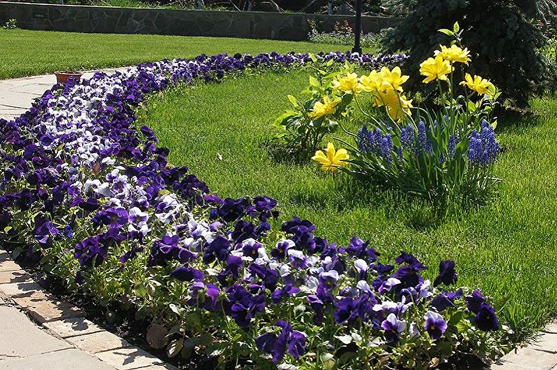 Perennial flowers for the garden and garden - photo