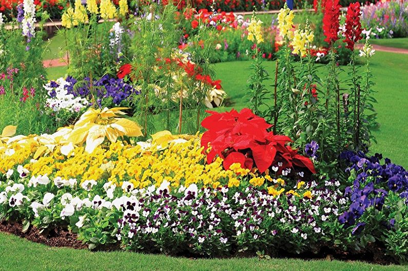 Perennial flowers for the garden and garden - photo