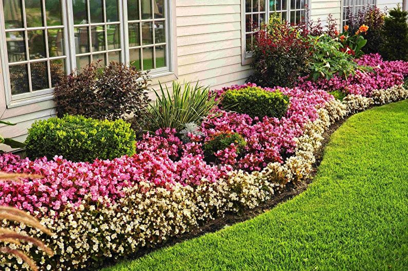 Perennial flowers for the garden and garden - photo