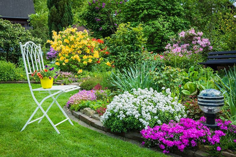 Perennial flowers for the garden and garden - photo
