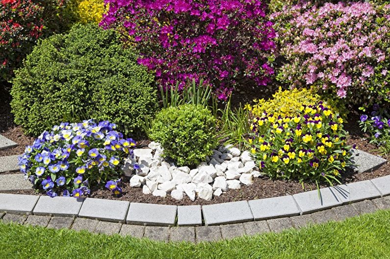 Perennial flowers for the garden and garden - photo